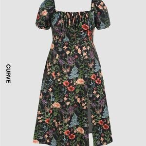 NWT Cider Floral Split Bubble Sleeve Dress